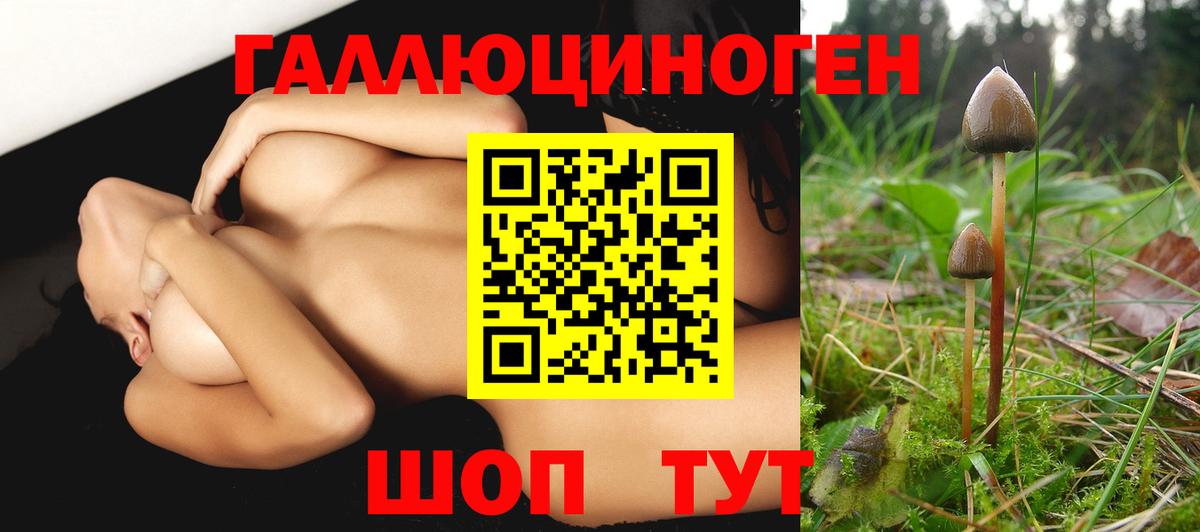 Галлюциногенные грибы Cubensis Шадринск