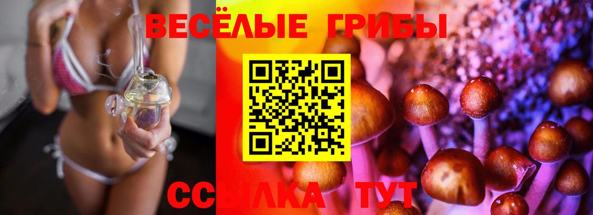 Галлюциногенные грибы MAGIC MUSHROOMS  Вход с VPN  где купить наркоту  Шадринск  Псилоцибиновые грибы мухоморы 